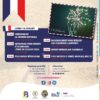 Les estivales de Lamotte-Beuvron