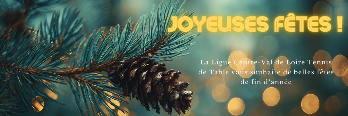 joyeuses fêtes